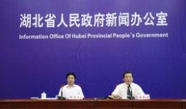 湖北最新爆料新闻报道,揭秘神秘事件背后的真相