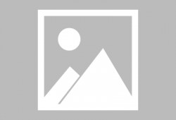 vivo手机最新爆料,颠覆性设计即将亮相，引领行业新潮流